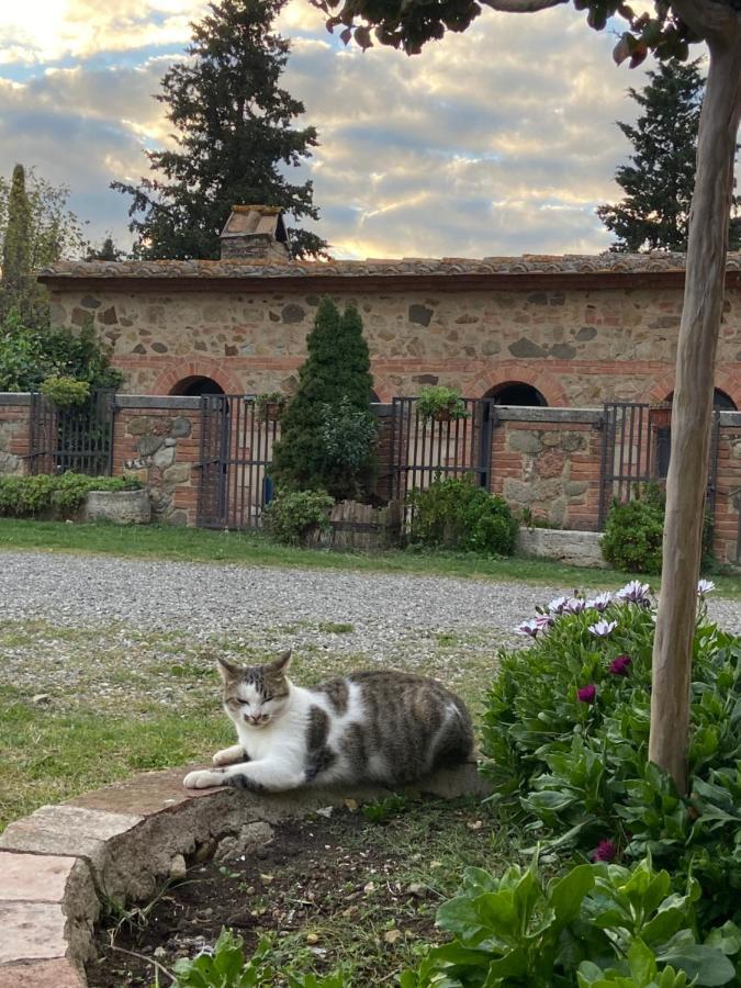 Agriturismo Il Pozzo Castiglione dʼOrcia Εξωτερικό φωτογραφία