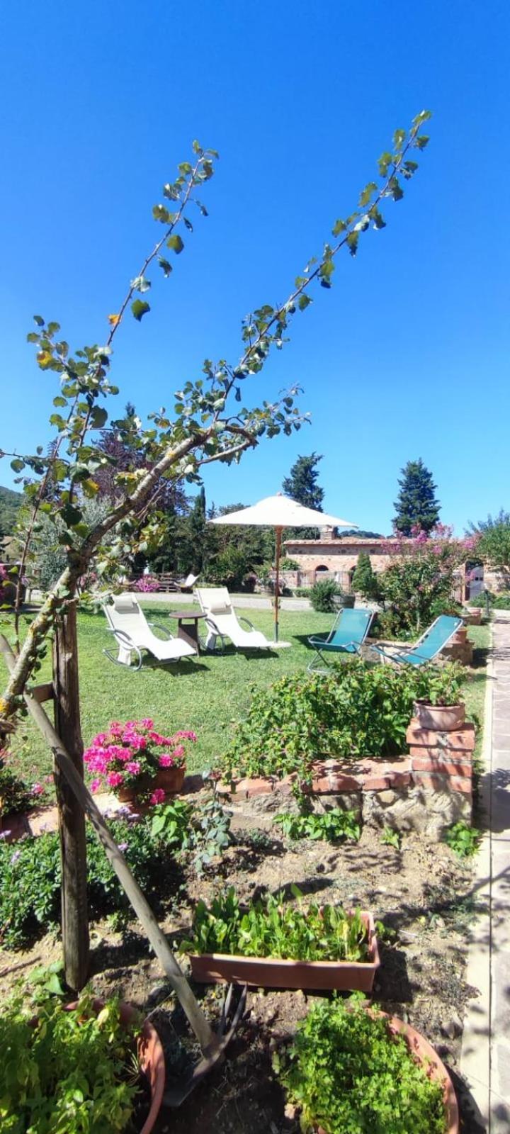 Agriturismo Il Pozzo Castiglione dʼOrcia Εξωτερικό φωτογραφία